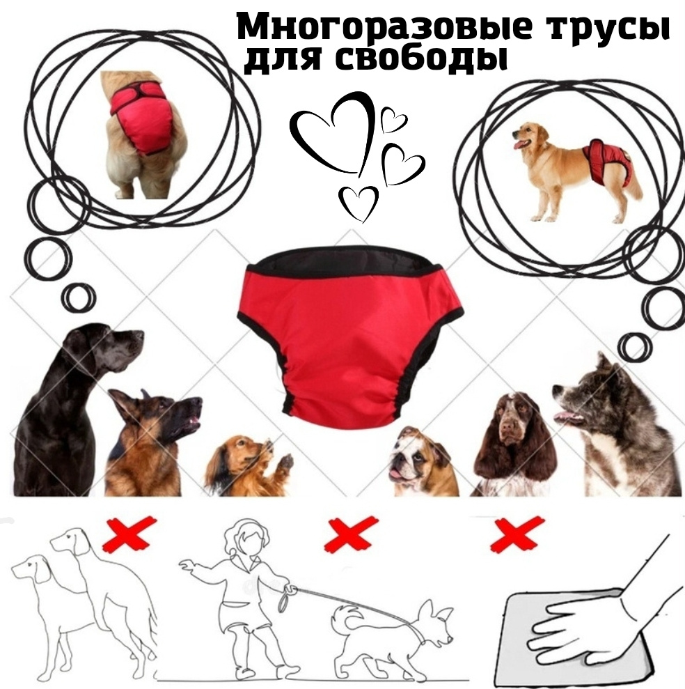 Трусы для собак на время течки,гигиенические ,многоразовые, защитные  ,размер L. - купить с доставкой по выгодным ценам в интернет-магазине OZON  (558471134)