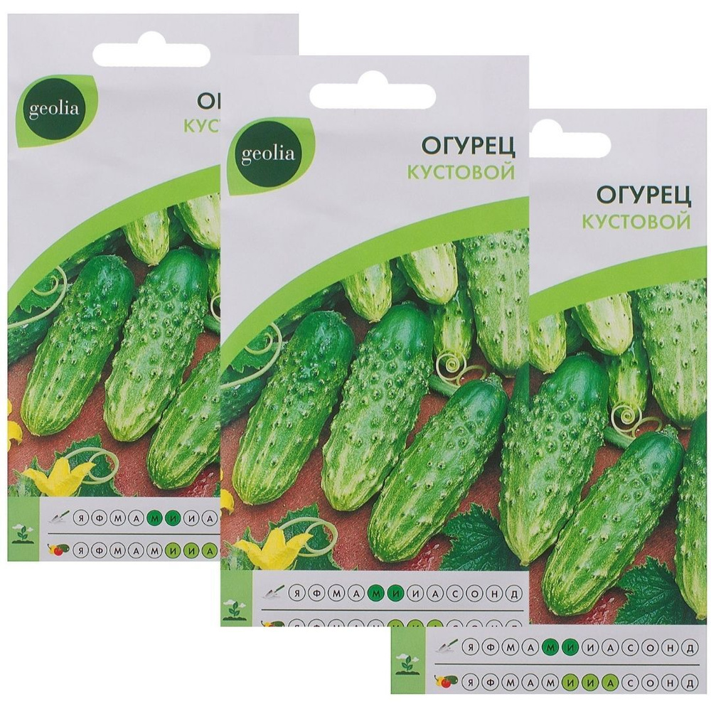 Огурцы GEOLIA «Кустовой» - купить по выгодным ценам в интернет-магазине ...