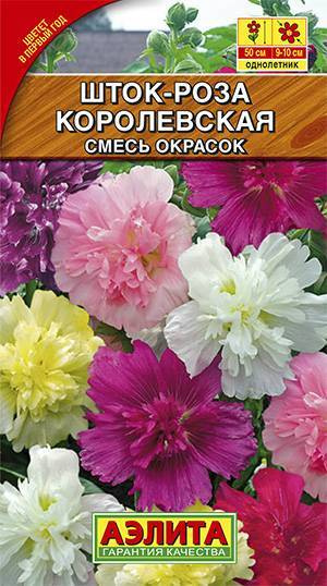 Шток-роза Королевская, смесь Одн. Цв/П (Аэлита) 0,1г (1 пакетик)  #1