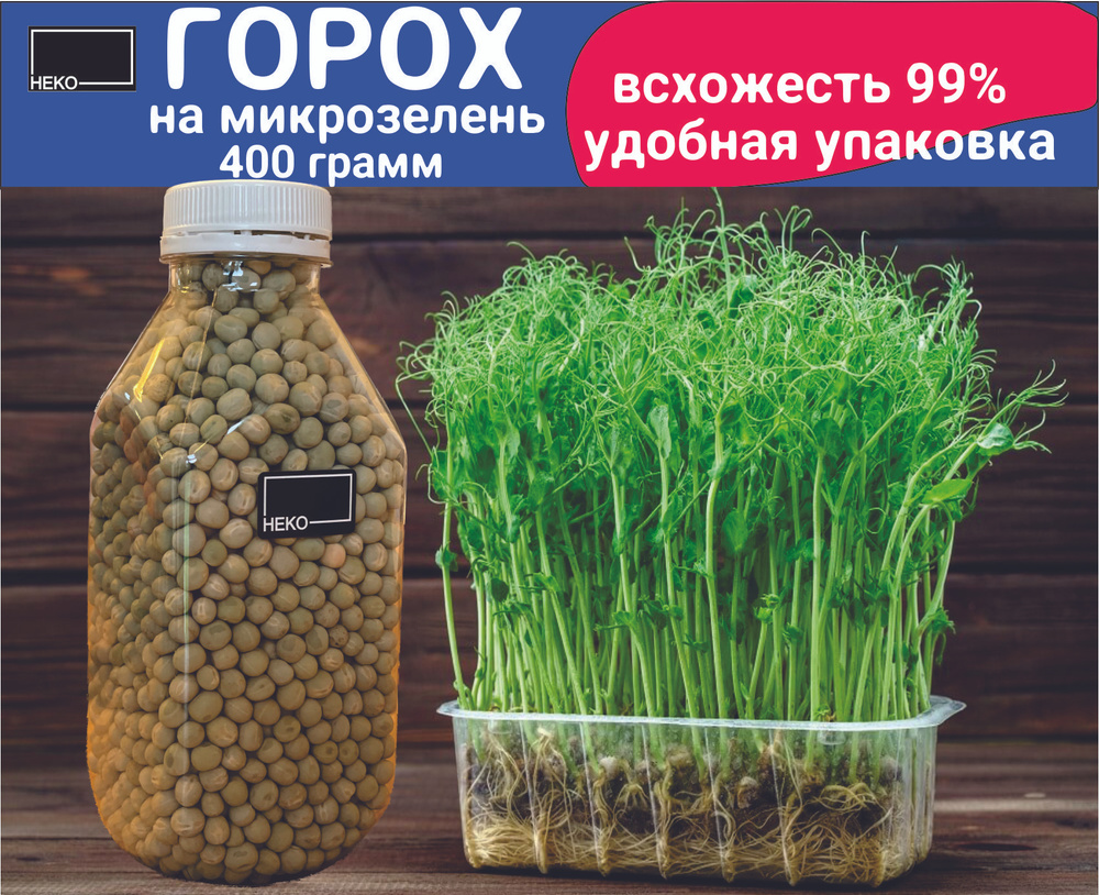 Горох Мадрас семена (400гр.) НЕКО микрозелень для выращивания  #1