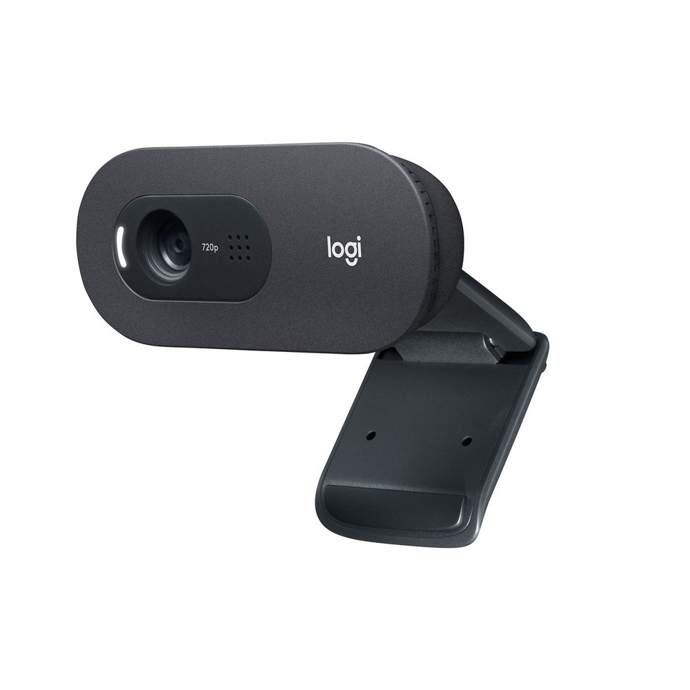 Logitech Web-камера с микрофоном C505 HD (960-001364), черный - купить с  доставкой по выгодным ценам в интернет-магазине OZON (693097188)