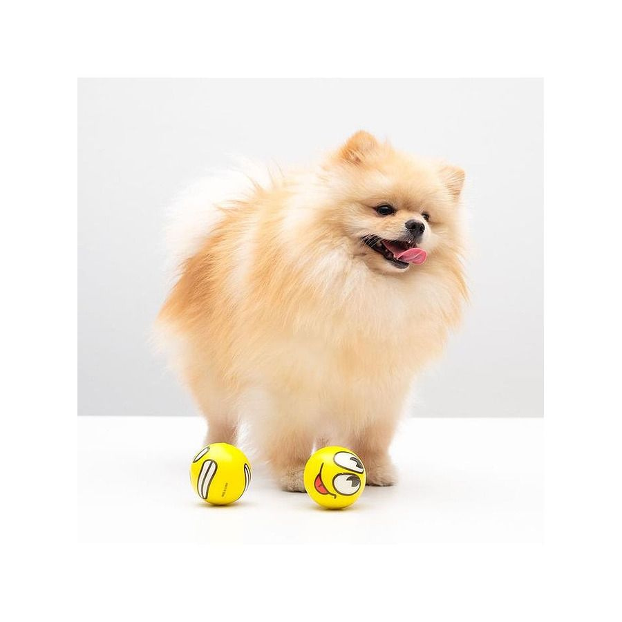 Мячики для собак "Эмоции" - купить с доставкой по выгодным ценам в ...