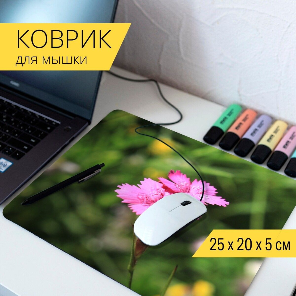 LotsPrints Коврик для мыши гвоздика, caryophyllaceae, цветы -  26-MPAD25X20-87427, разноцветный - купить с доставкой по выгодным ценам в  интернет-магазине OZON (784595416)