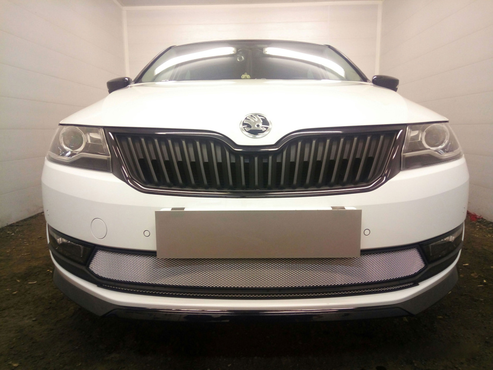 Защитная сетка радиатора хром Skoda Rapid (2017-2020) рестайлинг (2 ...