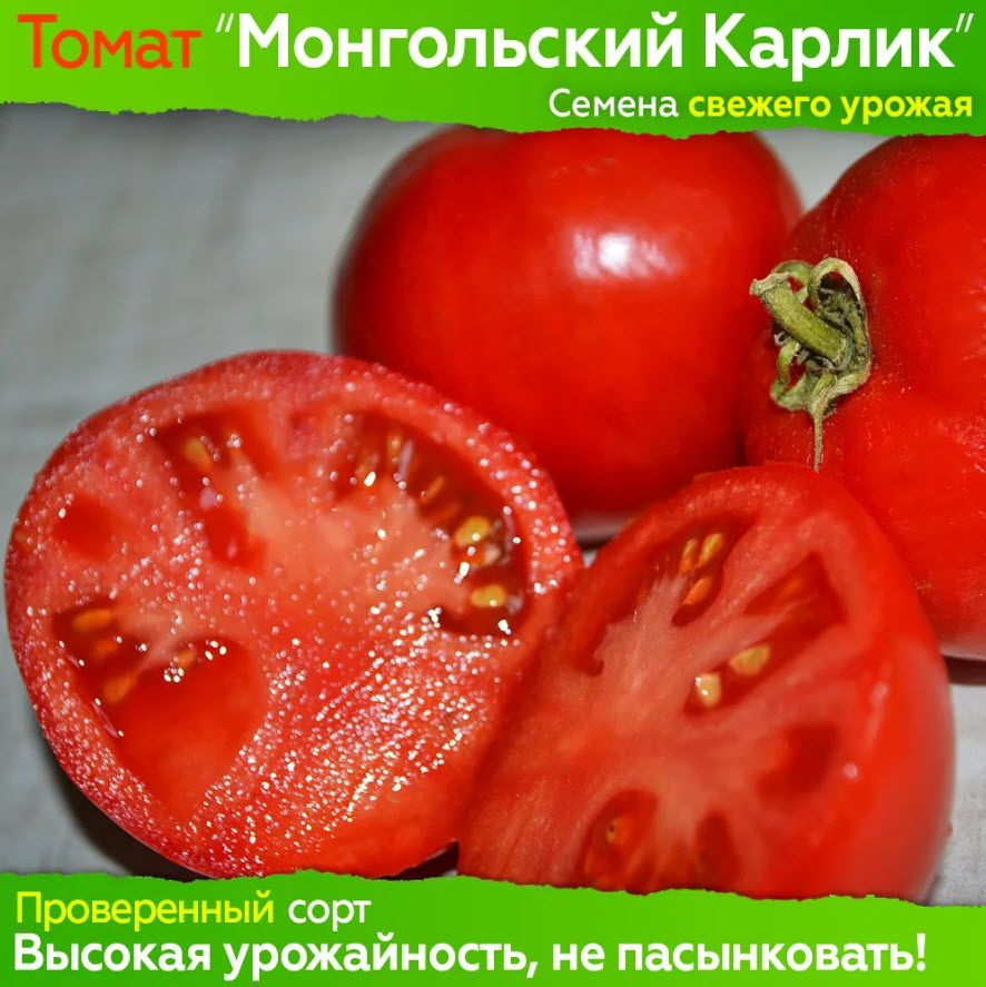 Семена томата Монгольский Карлик (гном) - коллекционный сорт #1
