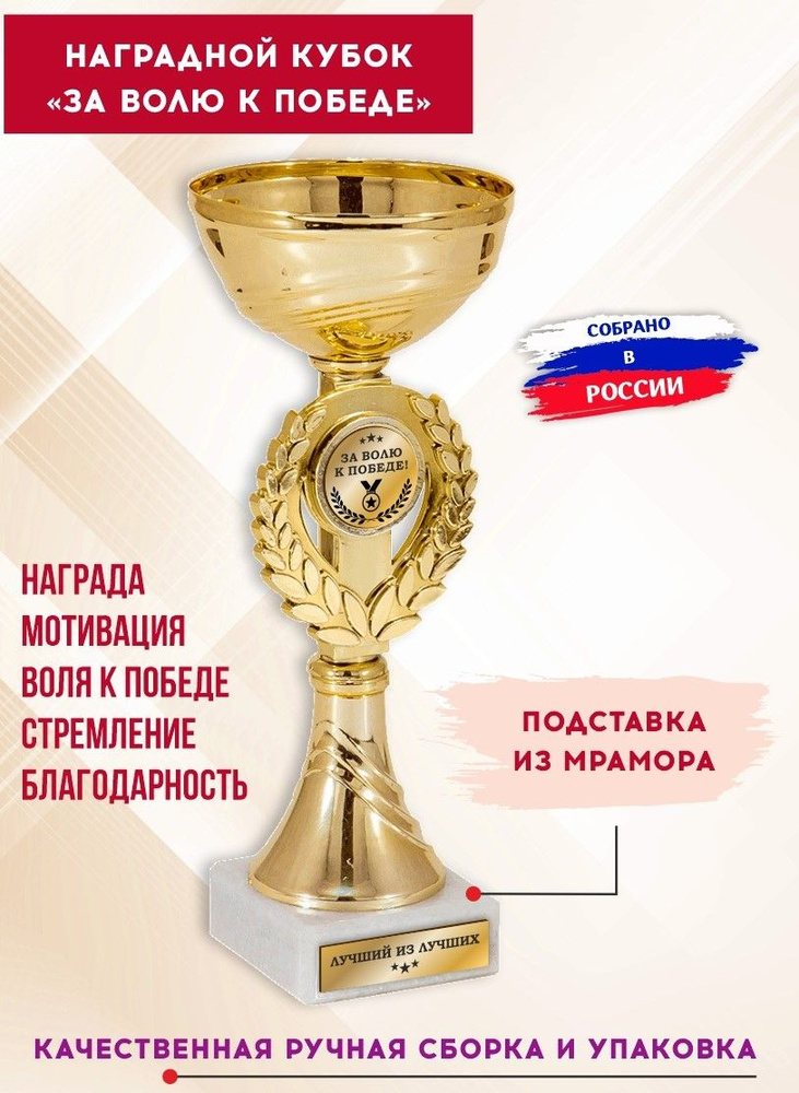 Кубок для награждения спортивный "За волю к победе!", с гравировкой, SPORT PODAROK  #1