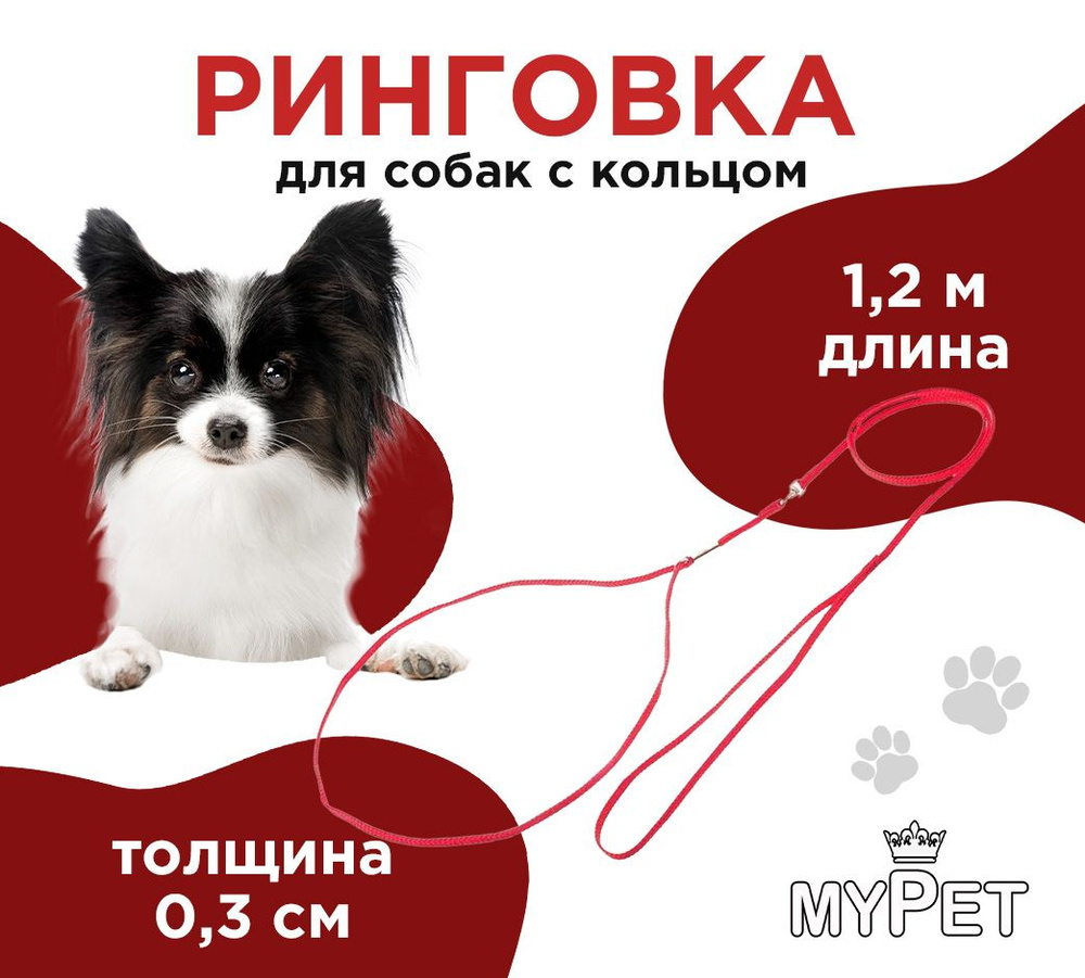 myPet Ринговка для дрессировки и выставок с кольцом, для собак, красная