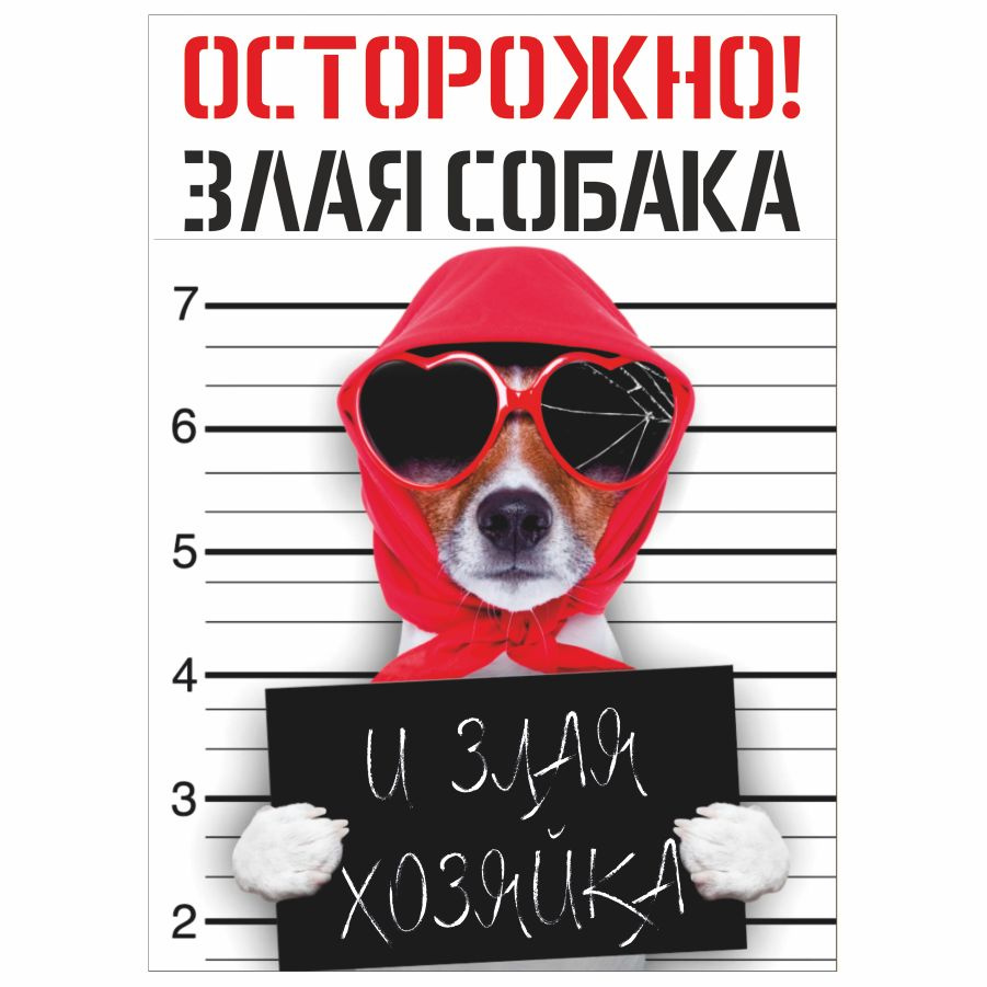 Табличка, с юмором, прикол, DANGER DOG, Осторожно! Злая собака и злая  хозяйка, 18x25 см, 18 см, 25 см - купить в интернет-магазине OZON по  выгодной цене (847365383)