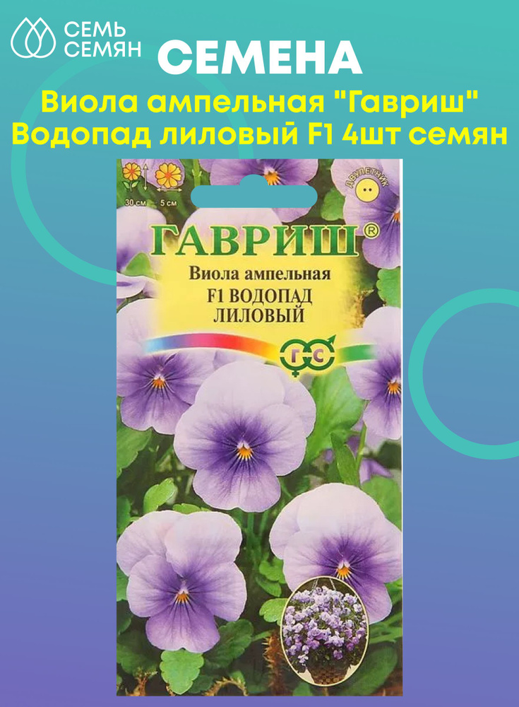 Интернет магазин виола отзывы. Виола ампельная водопад лиловый. Виола Гавриш. Виола водопад лиловый. Виола ампельная cool Wave Blueberry Swirl.