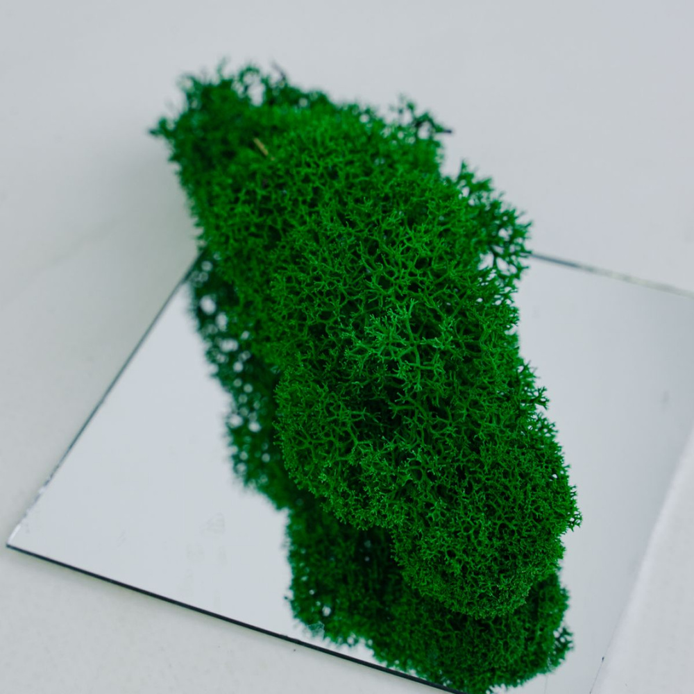 Мох ягель Лес Средиземья 45 гр, зелёный, натуральный, для декора картин из эпоксидной смолы ResinArt #1