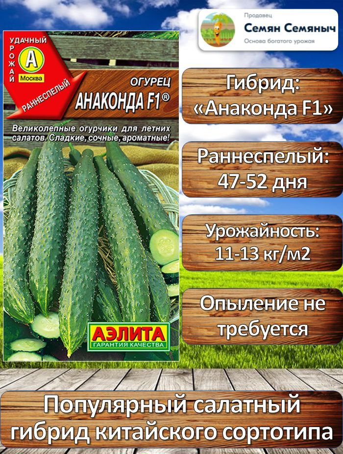 Семена Огурцов Анаконда Купить