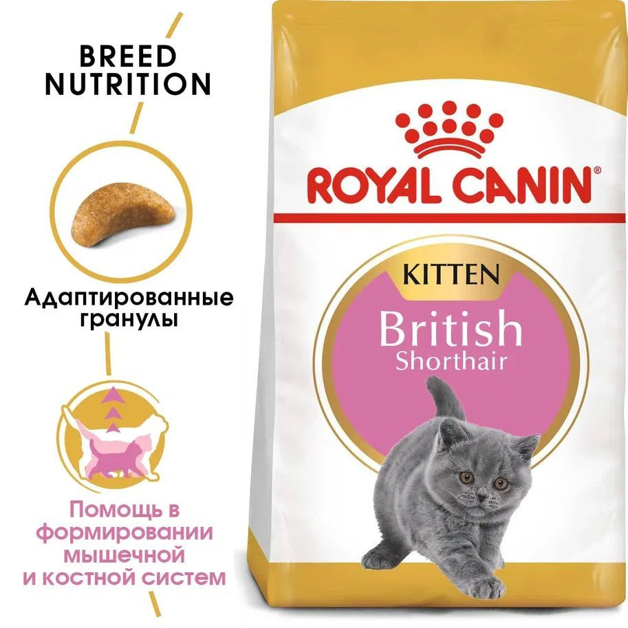 Сухой корм для котят породы британской короткошерстной Royal Canin British  Shorthair Kitten, с птицей, 2 кг - купить с доставкой по выгодным ценам в  интернет-магазине OZON (135965133)