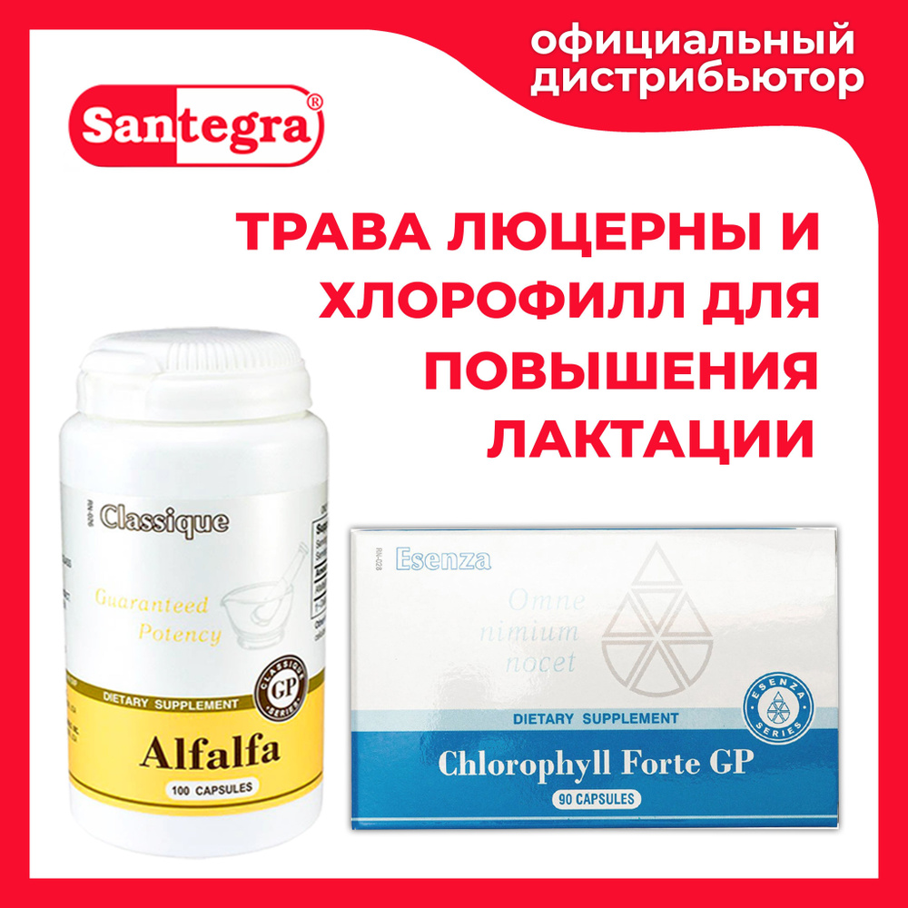 Препарат для кормящих мам Alfalfa Santegra / Натуральный лактагон Альфальфа  Сантегра / Люцерна 100 капсул 300 мг и Chlorophyll Forte 90 капсул 50 мг  для повышения лактации - купить с доставкой по выгодным ценам в  интернет-магазине OZON (589346212)