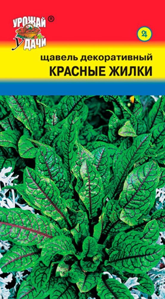 Семена Щавель декоативнолистный Красные жилки (Семена УРОЖАЙ УДАЧИ, 0,03г в упаковке)  #1