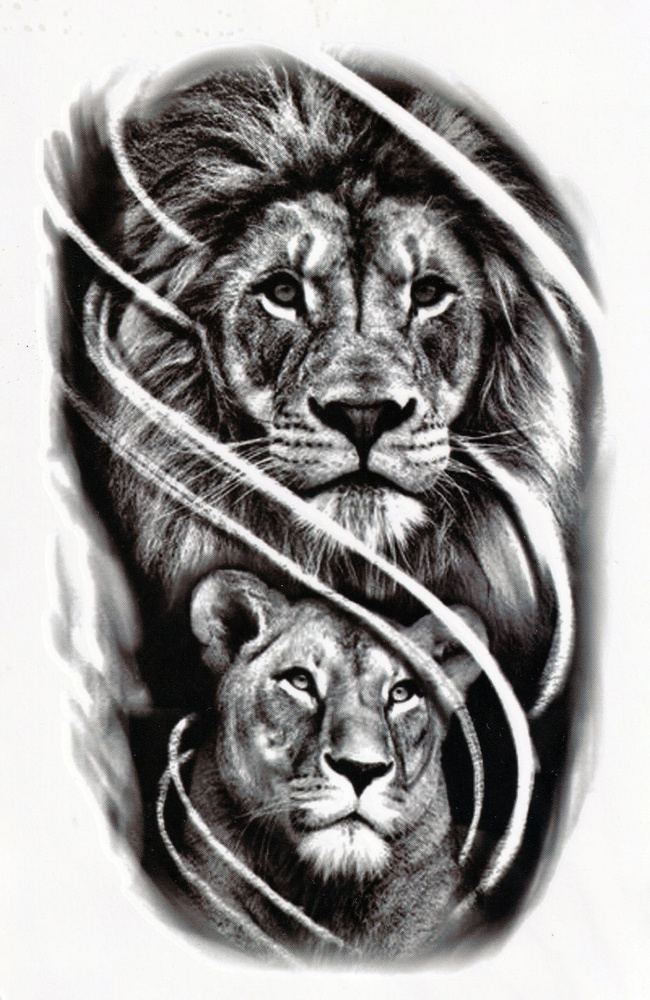 Эскизы тату льва на руку