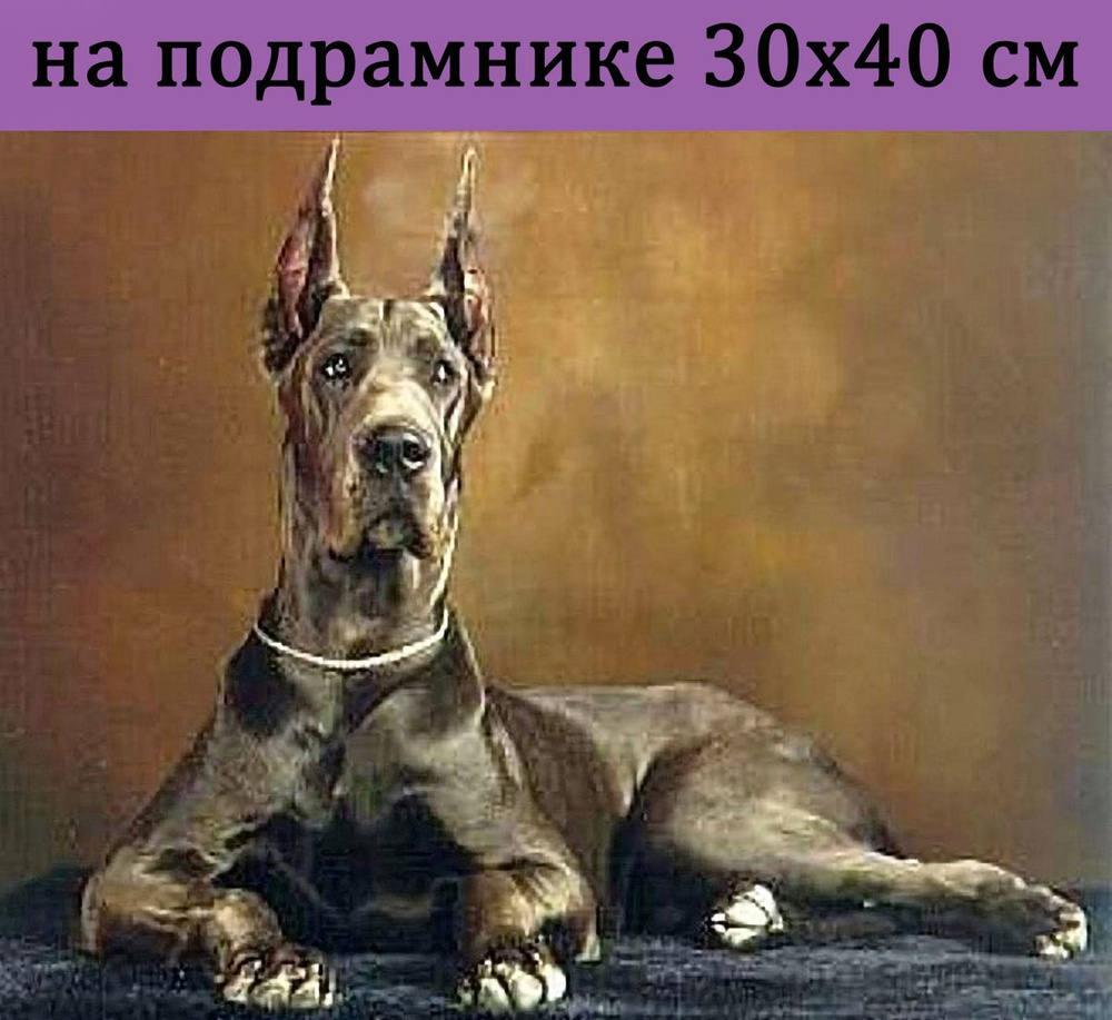 Алмазная мозаика на подрамнике 30х40 Животные, алмазная вышивка на подрамнике 40х30 для детей и взрослых, #1