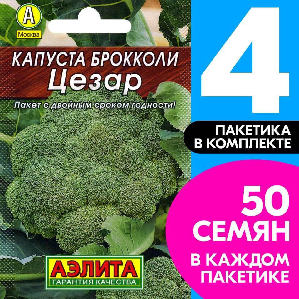 Семена овощей Капуста брокколи Цезар, 4 пакетика по 0,3г/50шт в каждом  #1