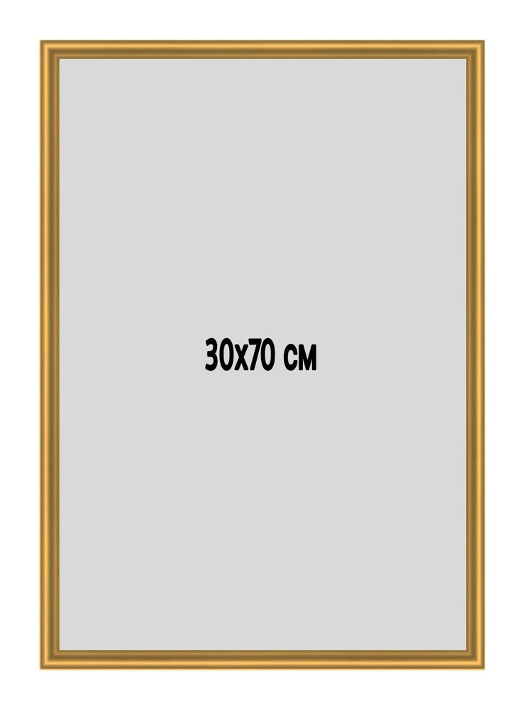 Фоторамка металлическая (алюминиевая) золотистая для постера, фотографии, картины 30х70 см. Рамка для #1