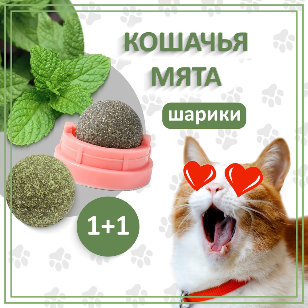 Кошачья мята набор 2 в 1 - конфета на липучке + шарик, лакомство для кошек,  антистресс - купить с доставкой по выгодным ценам в интернет-магазине OZON  (941425813)