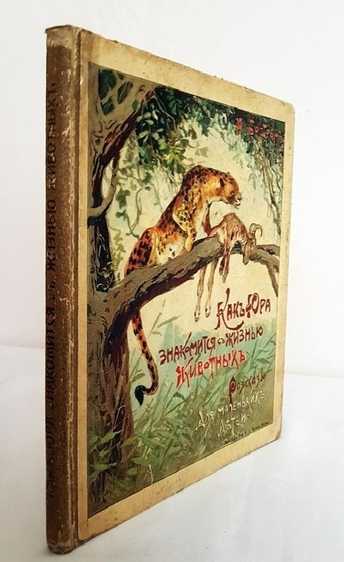 "Как Юра знакомится с жизнью животных". А. Бостром. 1911г. #1