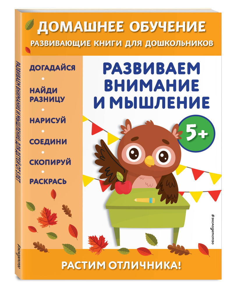 Развиваем внимание и мышление: для детей от 5 лет | Динч Беркай - купить с  доставкой по выгодным ценам в интернет-магазине OZON (714685291)