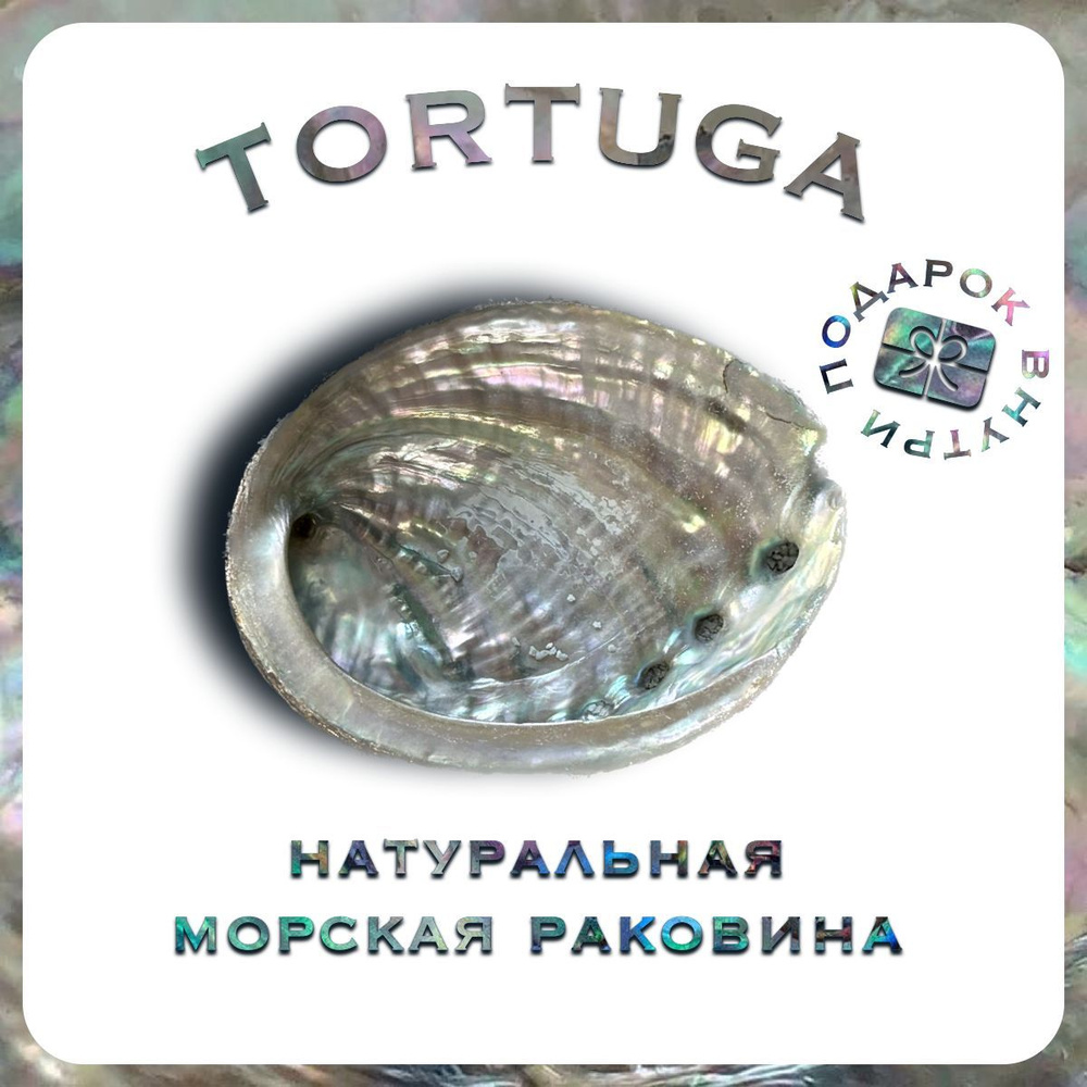 Подставка под благовония TORTUGA подставка - купить по низкой цене в  интернет-магазине OZON (1001869337)