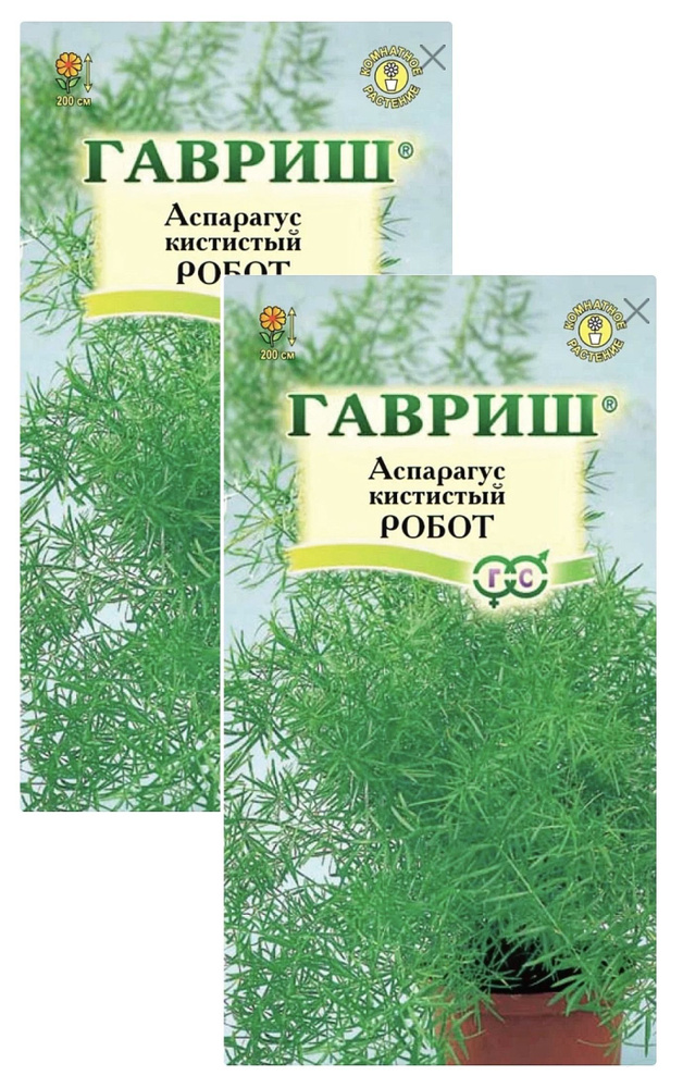 Аспарагус Робот (кистистый), 2 пакета, семена 0,2 гр, Гавриш  #1