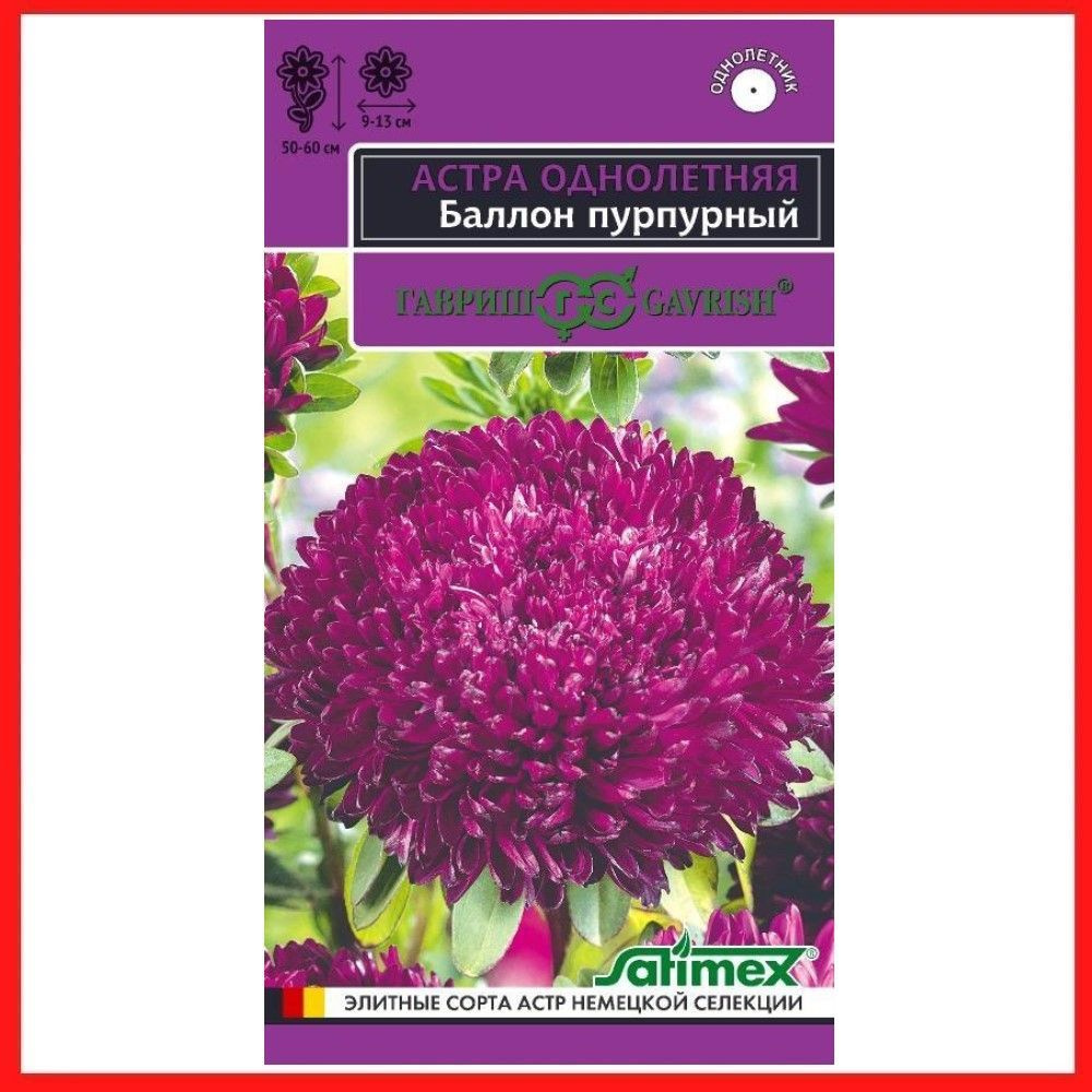 Семена Астра густомахровая "Баллон пурпурный" 0,05 гр, однолетние цветы для дачи, сада и огорода, клумбы, #1
