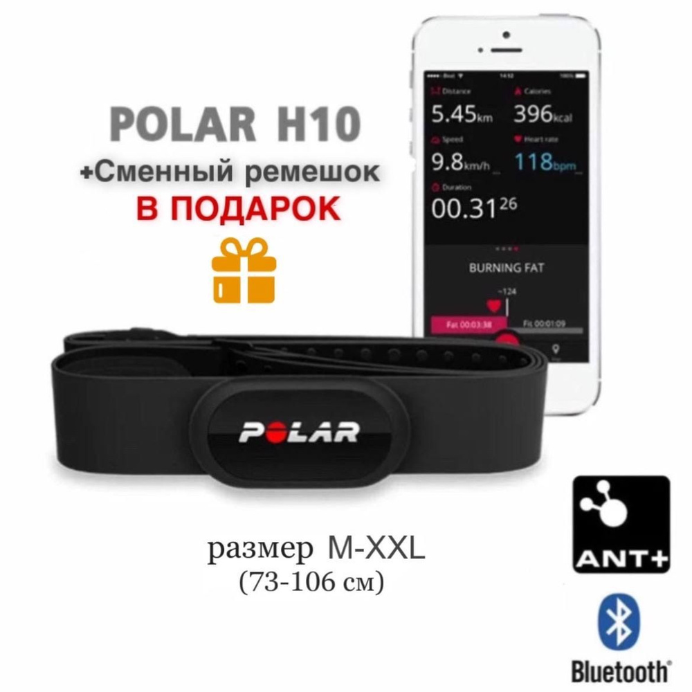 Polar band fitness sale