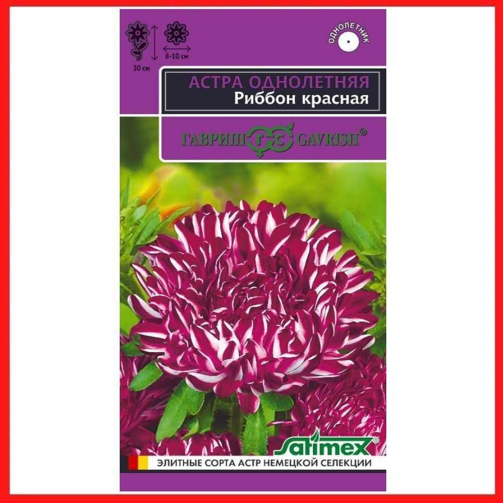 Семена Астра пионовидная "Риббон красная" 0,1 гр, однолетние цветы для дачи, сада и огорода, клумбы, #1