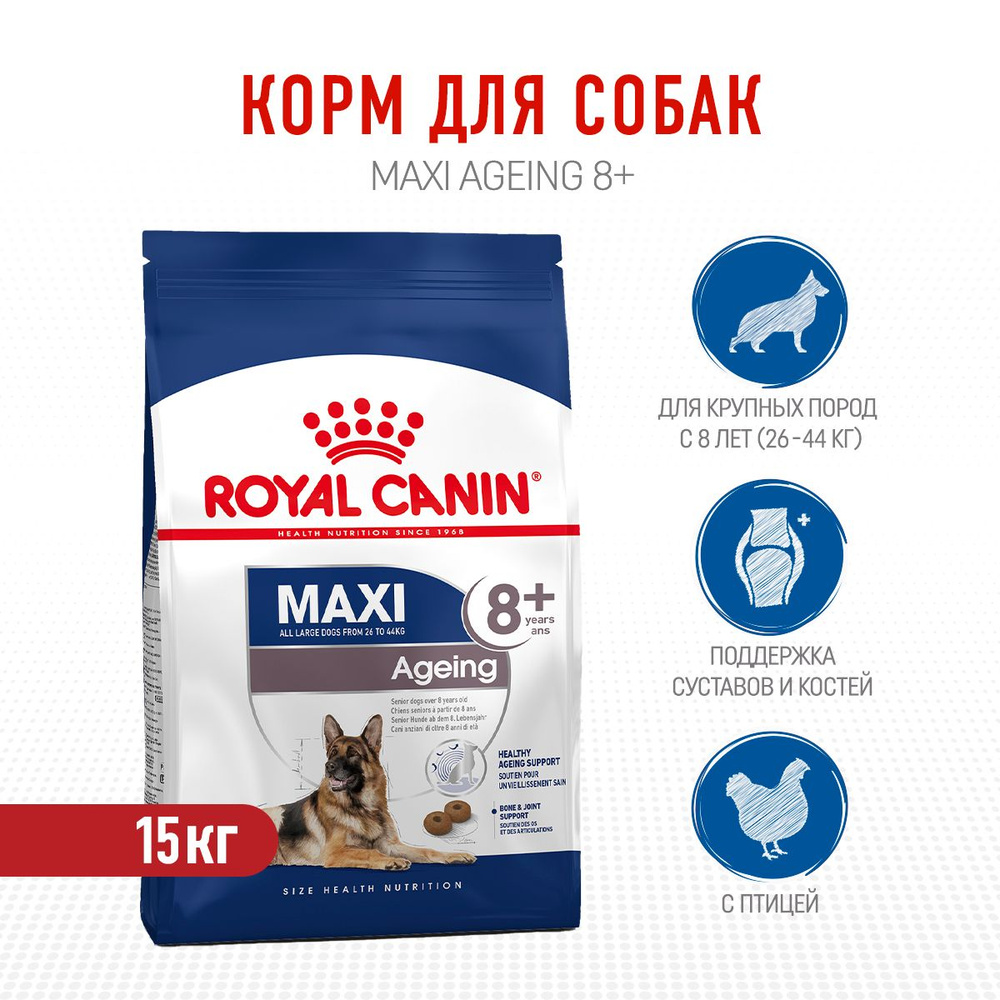 Royal Canin Maxi Ageing 8+ сухой корм для пожилых собак крупных ...