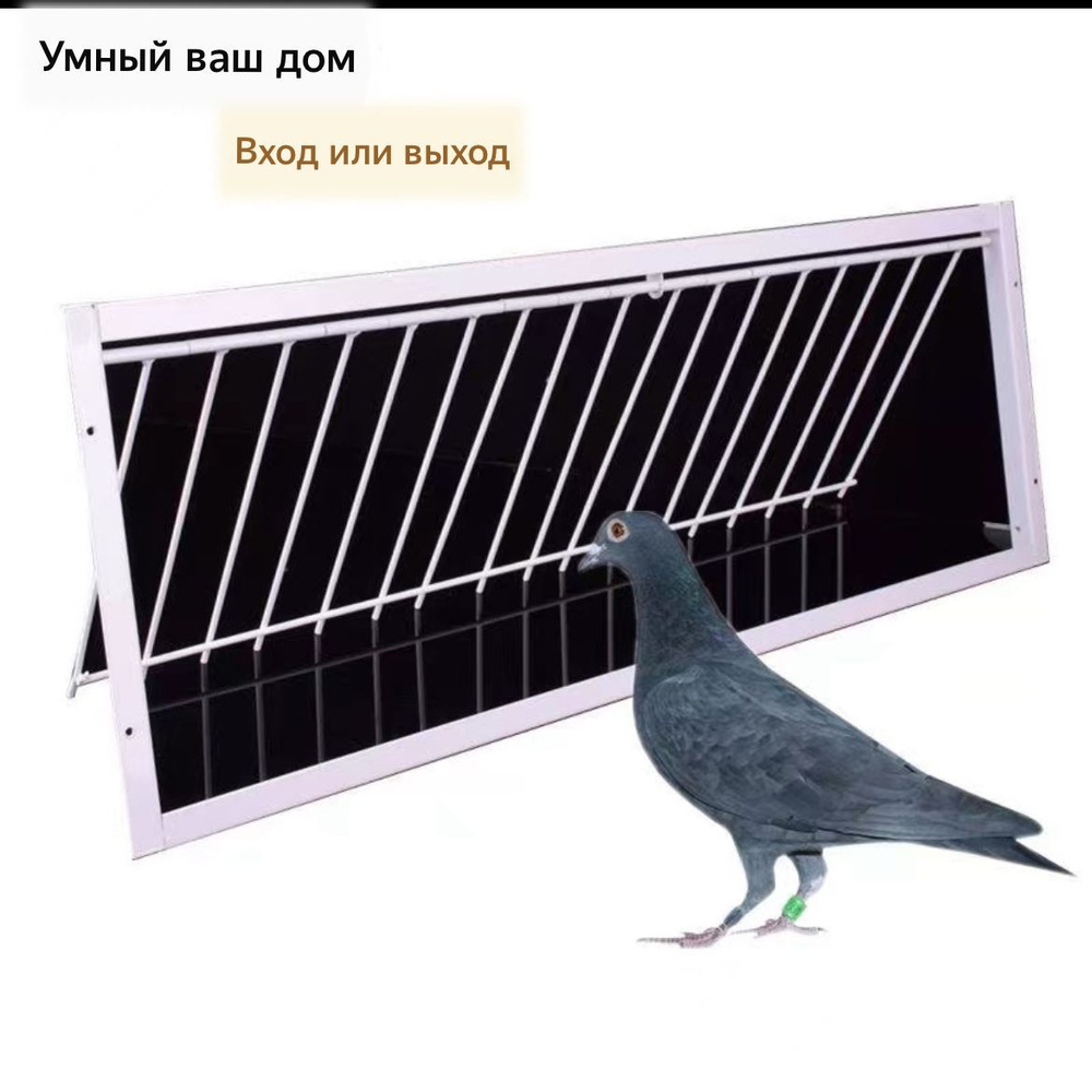 Куры и голуби автоматически ударяются о дверь, но они не могут ни войти, ни  выйти. - купить с доставкой по выгодным ценам в интернет-магазине OZON  (1060533353)