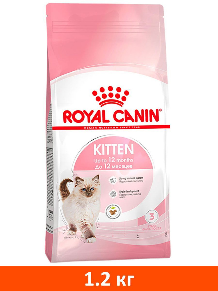 Сухой корм ROYAL CANIN KITTEN 36 для котят (1,2 кг) - купить с доставкой по  выгодным ценам в интернет-магазине OZON (178935409)