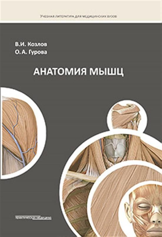 Анатомия мышц - купить с доставкой по выгодным ценам в интернет ...