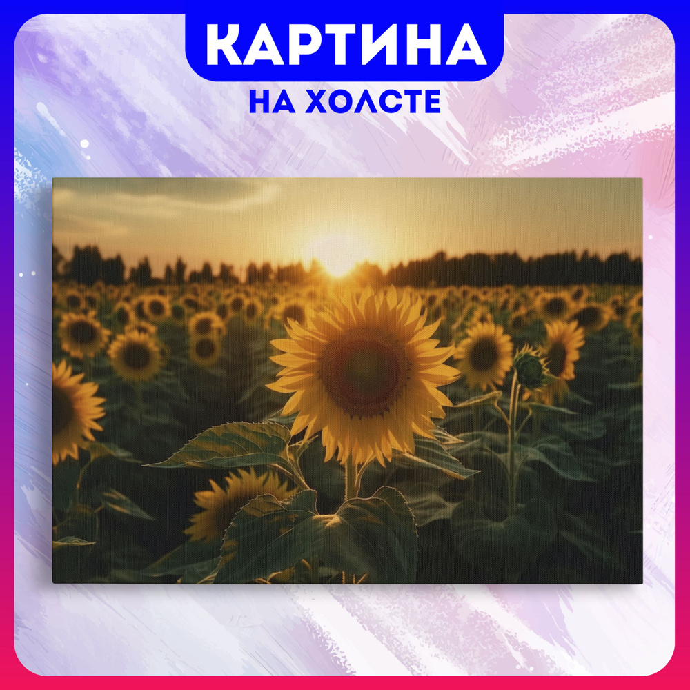 Картина на холсте Подсолнухи красивые цветы эстетика природа (3) 50х70 см -  купить по низкой цене в интернет-магазине OZON (1160678235)