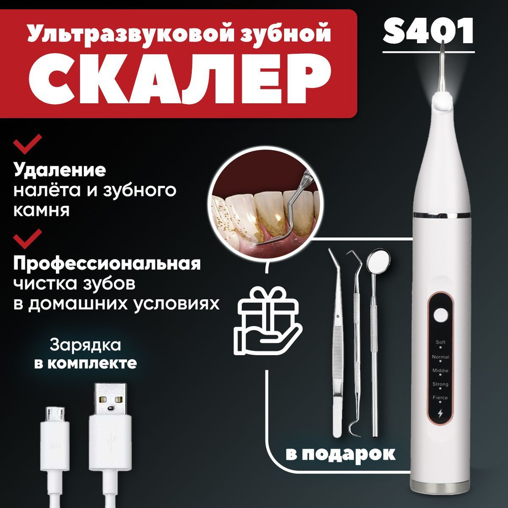 Скалер для удаления зубного камня - купить с доставкой по выгодным ...