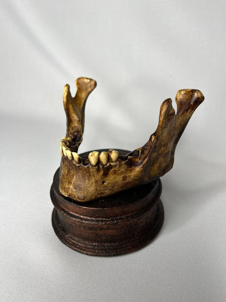 Подставка под телефон "челюсть" #1