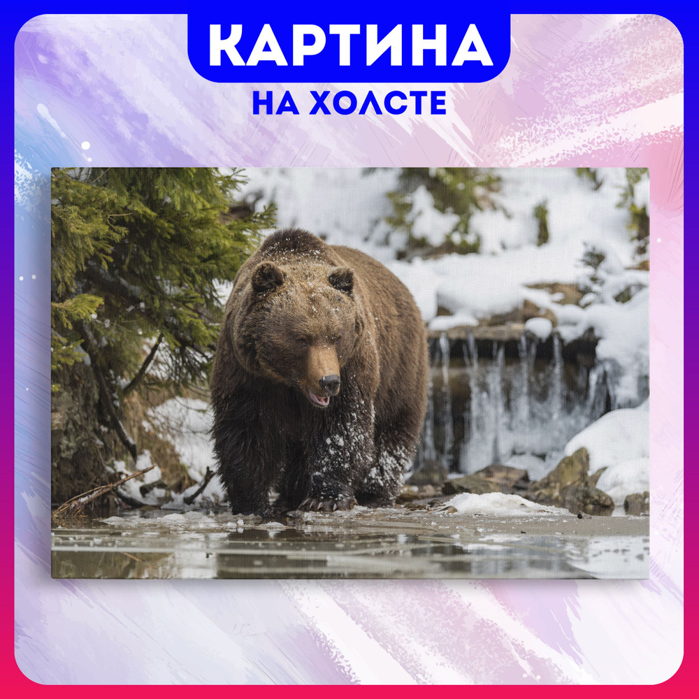 Картина на холсте медведь животные природа (9) 60х80 см - купить по низкой  цене в интернет-магазине OZON (1179394538)