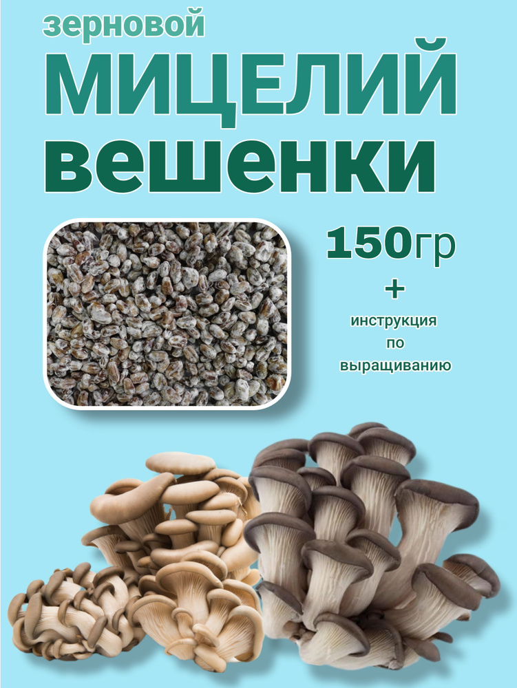 мицелий вешенки зерновой 150гр - купить по выгодным ценам в интернет ...