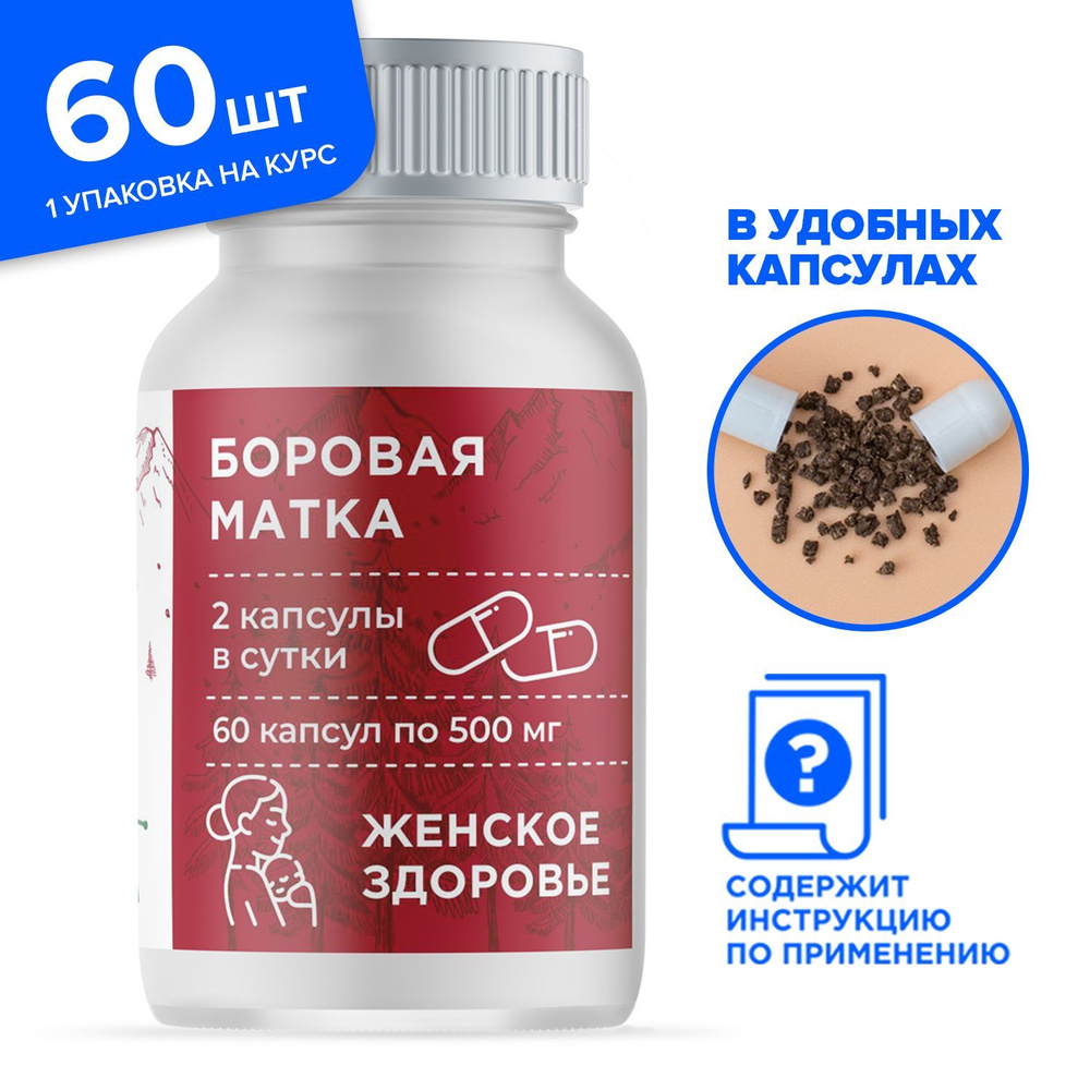 Матка человека — Википедия