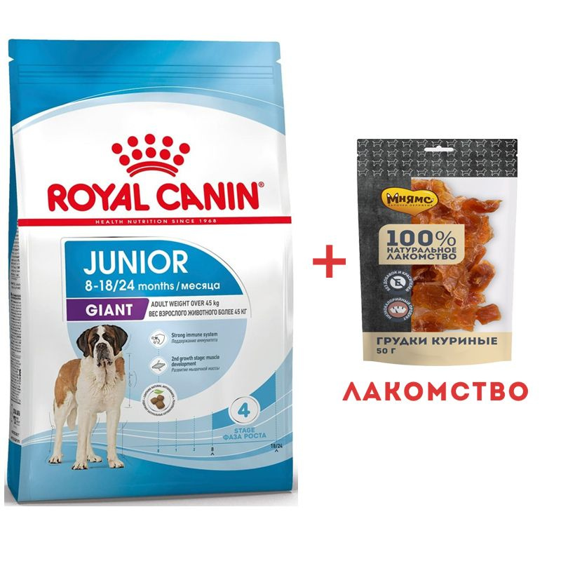Royal Canin Giant Junior Сухой корм для щенков (8-18/24 месяцев ...
