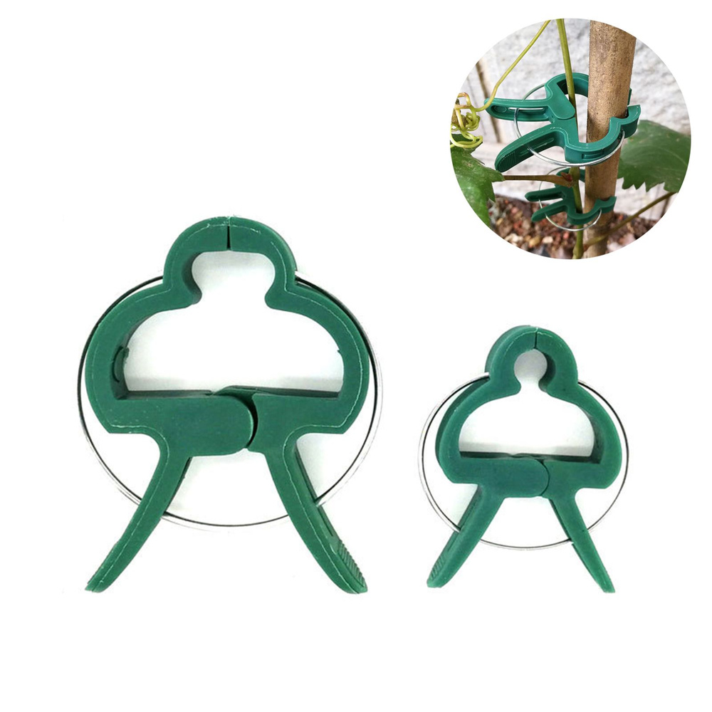 Клипсы для садовых растений - купить с доставкой по выгодным ценам в ...