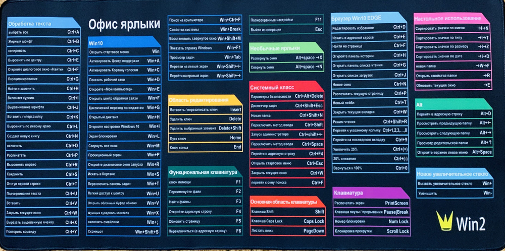 Повелительницы ковров (Фото НЮ)