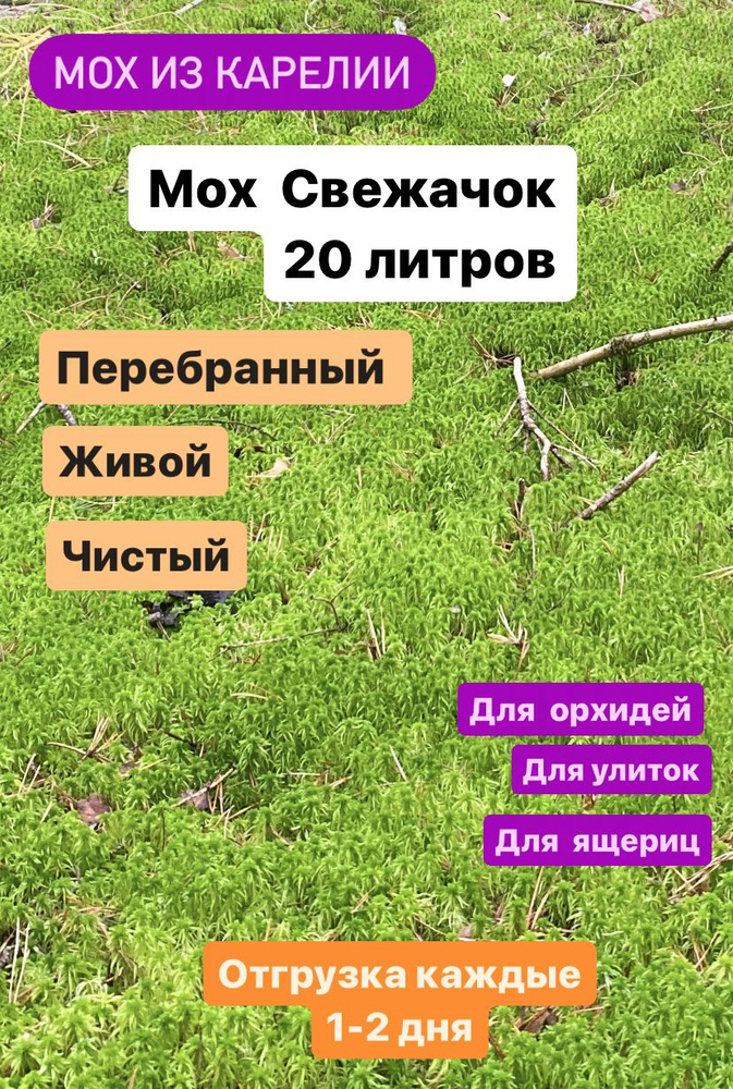 Мох Сад и огород мл г - купить по доступным ценам в интернет-магазине ...