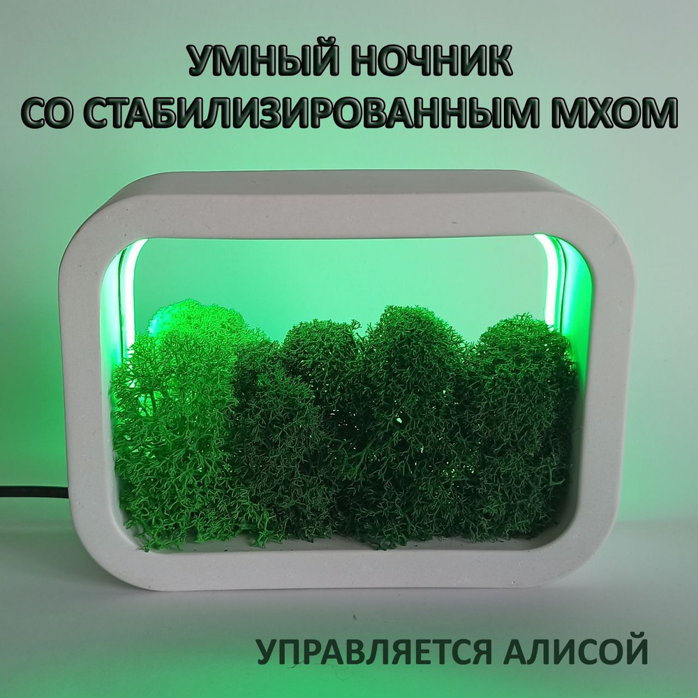 Умный ночник со стабилизированным мхом. Ночник Алиса