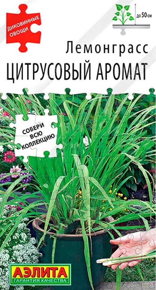 Лемонграсс Цитрусовый аромат (лимонная трава) (2 уп по 0,03 г). Душистый антисептик! Пряные и лекарственные #1