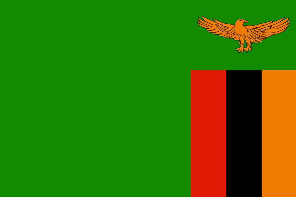 Двусторонний флаг Замбии 40х60 см на лодку, катер или яхту с люверсами  #1