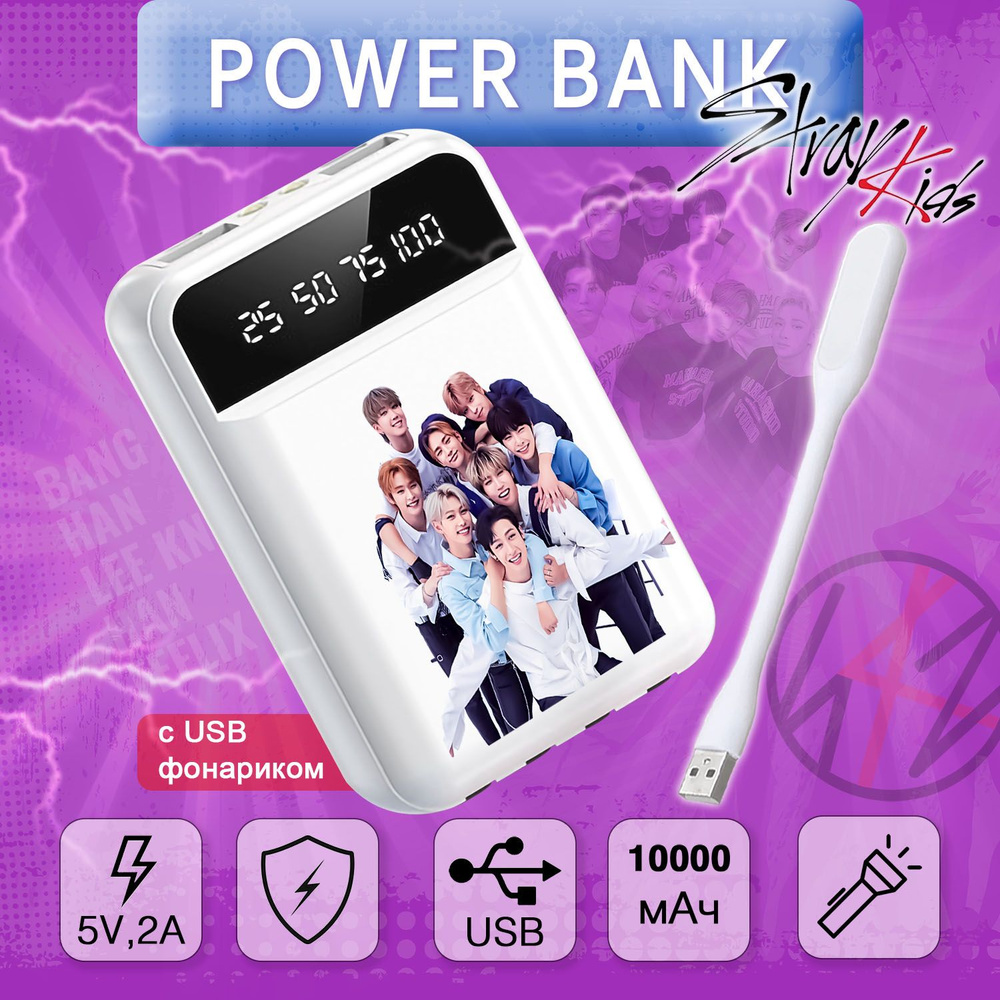 Повербанк (powerbank) (Power Bank) AniST Powerbank проводной - купить по  выгодным ценам в интернет-магазине OZON (892596393)