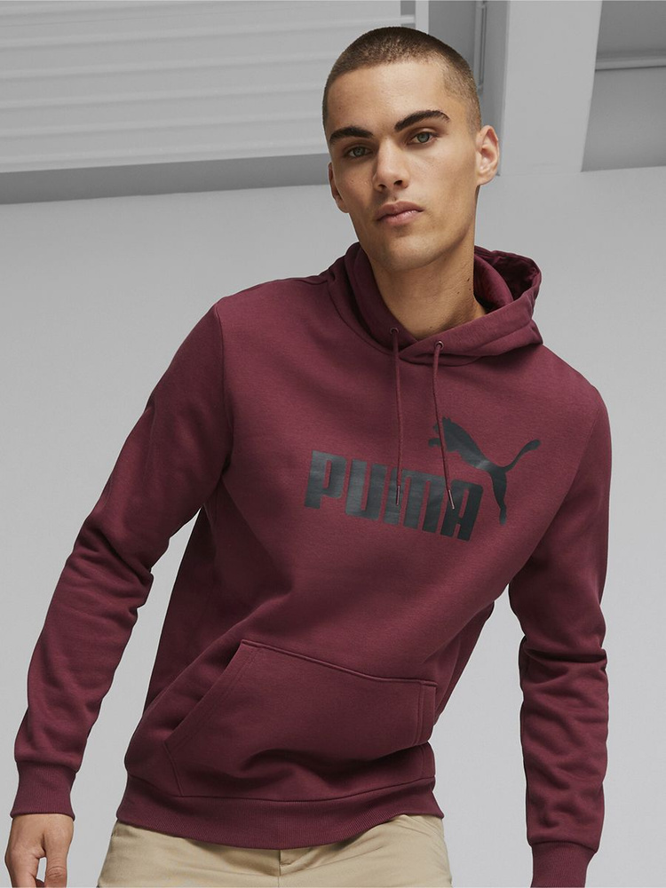 Худи PUMA ESS Big Logo Hoodie FL (s) #1