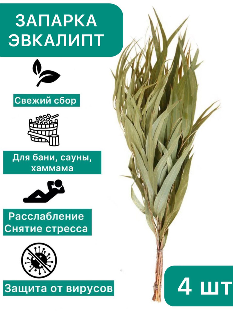 Запарка для бани Эвкалипт, трава-запарник, сухоцвет, 4 шт. - Веник для ...